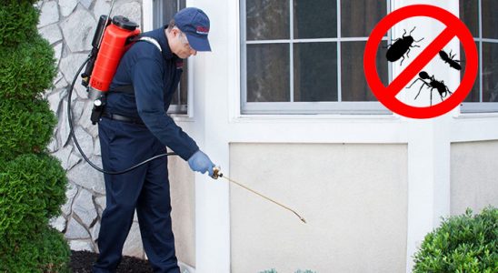 Selendi Hamam Böceği İlaçlama böcek ilaçlama ve haşere kontrolü — ilaclama-tr.com